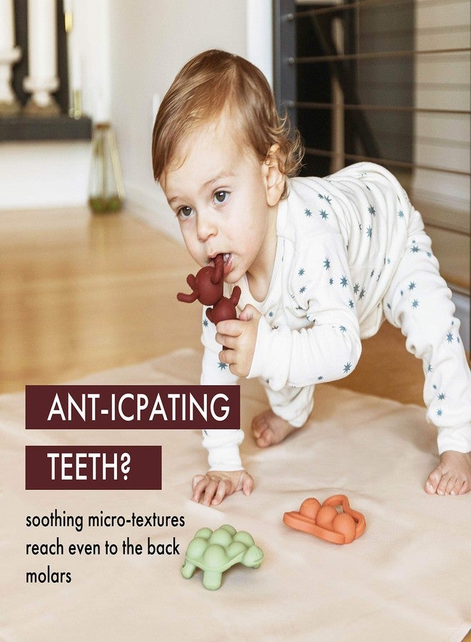 Doddle & Co. The Chew Teether with Poppable Bubbles | Toddler Teething Fidget Toy for Baby | Enhaces Oral Fit & Easy to Hold & Grab | Helps in Development for New Born Babies | Pack of 2 | Ant + Rain - Image 3